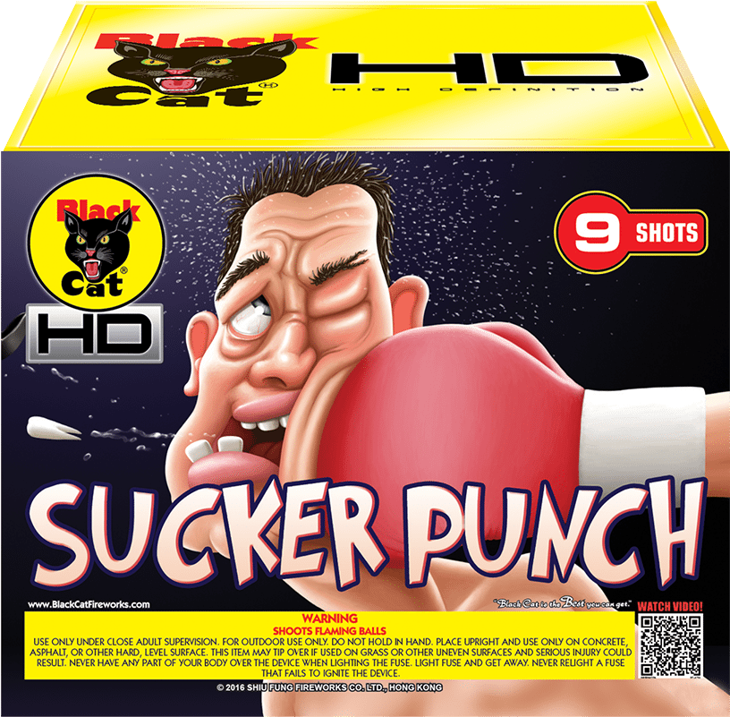 Mebc6356 - Black Cat Fireworks (900x900), Png Download