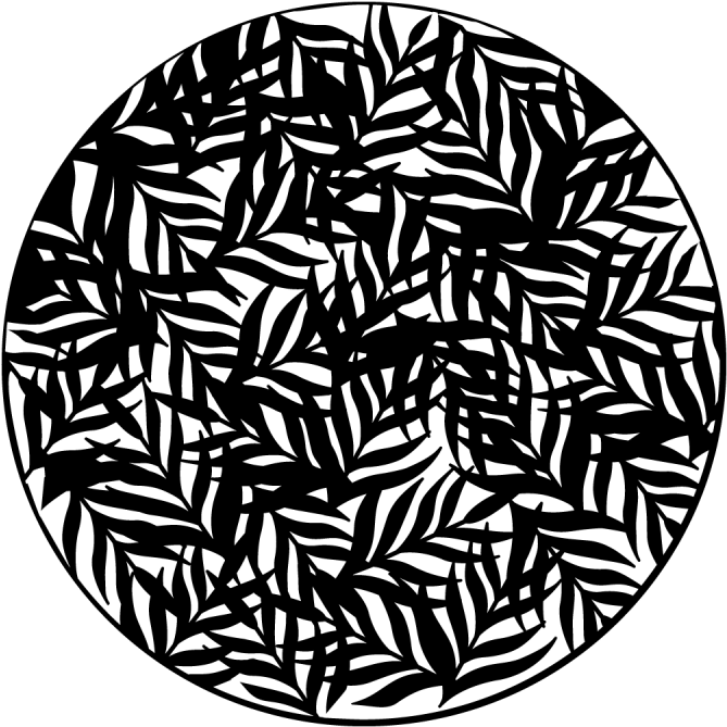 Foliage Jungle - Thick - Circle (800x800), Png Download