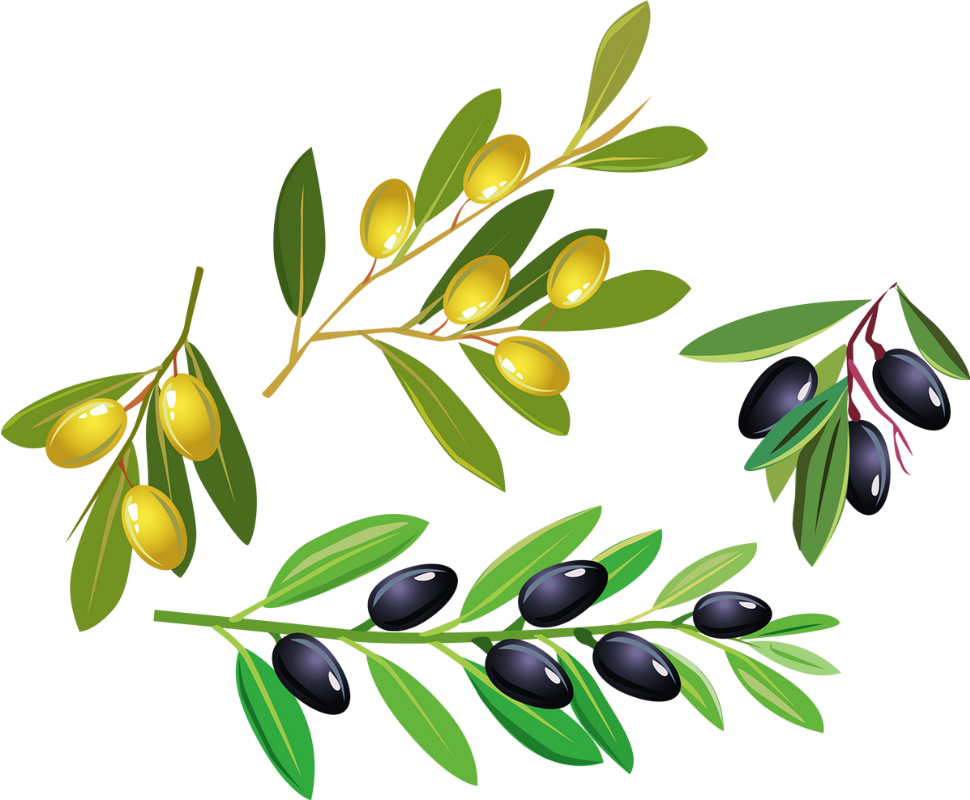 Bud (970x800), Png Download