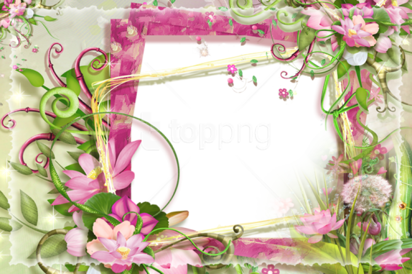 Free Png Best Stock Photos Pink And Green Flowers Png - Pink And Green Photo Frame (850x566), Png Download
