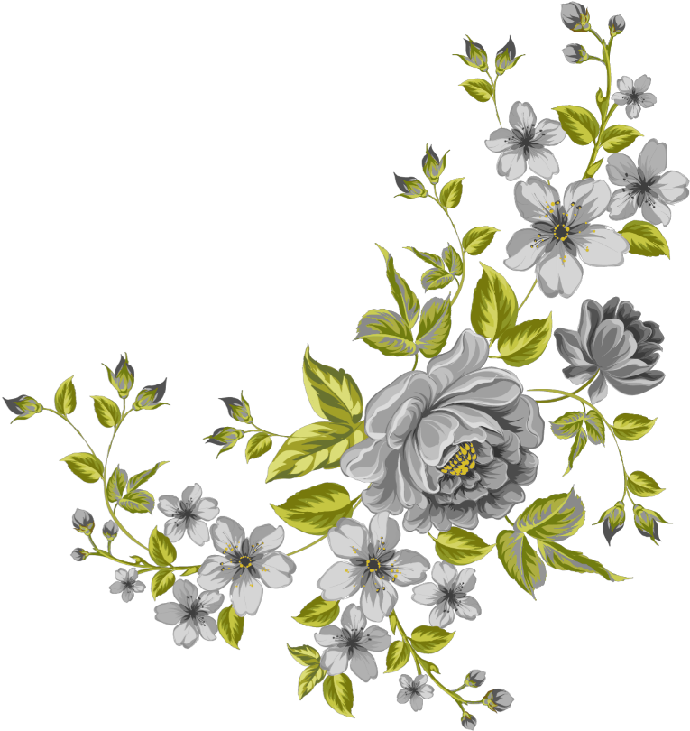 #mq #grey #green #flowers #garden #nature - Png Clipart Flowers Png (1024x1024), Png Download