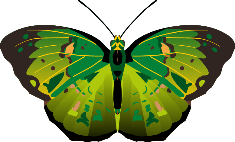 Butterfly Png Images - Butterflies (777x470), Png Download