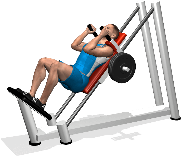 Evolutionfit - Hack Squat - Macchina Per Gli Squat (700x700), Png Download