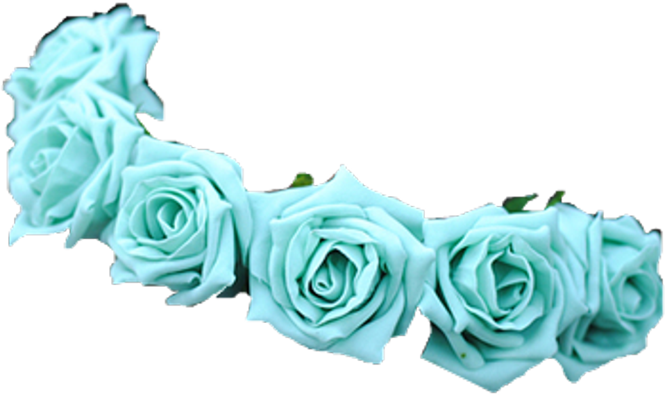 Download Transparent Background Flower Crown Transparent Full Size
