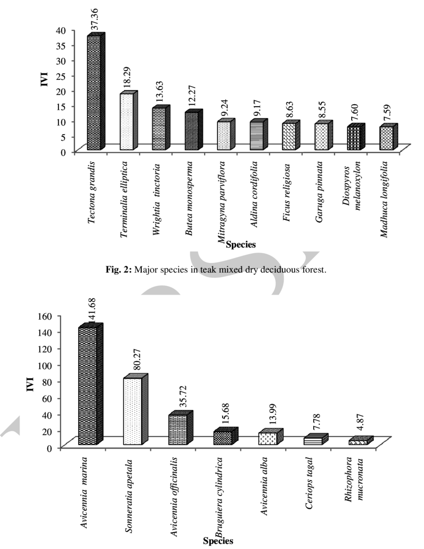 Major Species In Mangrove Forest - Diagram (850x1101), Png Download