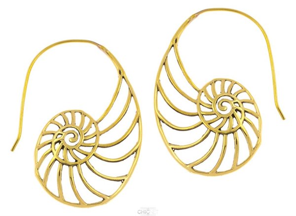 Earrings (600x439), Png Download