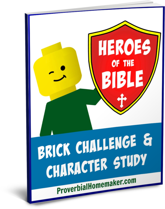 Heroes Of The Bible Brick Challenge & Character Study - Sign (550x694), Png Download