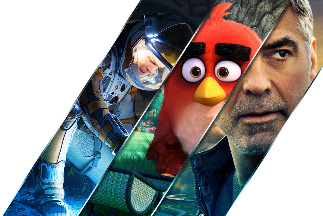 Download More Information Full Hd Wallpaper For Mobile Of Birds