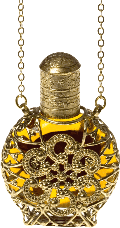 Essential Oil Diffuser Necklace - Citruses Jewelry Png Transparente (800x800), Png Download
