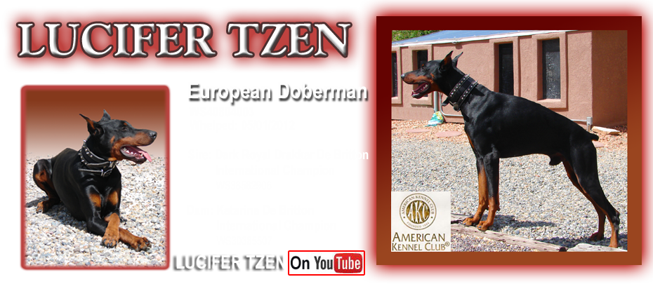 American Kennel Club (930x405), Png Download