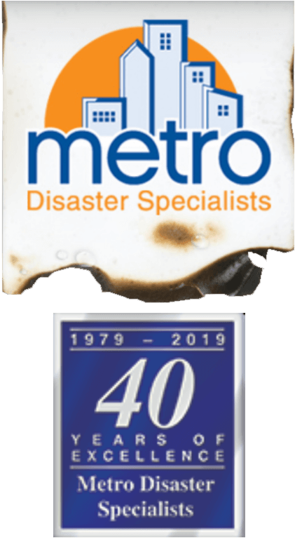 Metro Disaster Specialists - Poster (462x784), Png Download