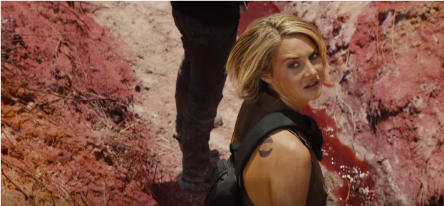 Shailene Woodley Interpreta A Mocinha Tris, Em A Série - Lace Wig (1200x630), Png Download