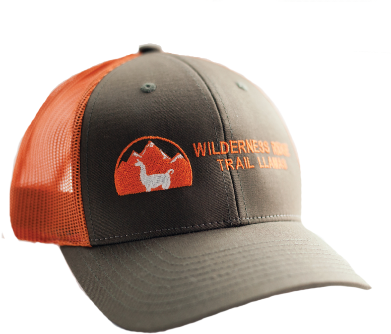 Wrtl Brown Trucker Hat - Baseball Cap (800x800), Png Download