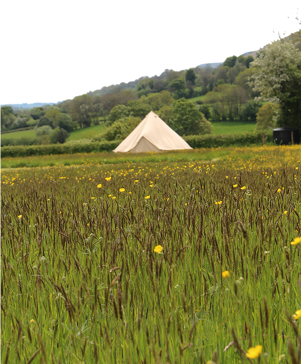 Chapel House Farm Campsite - Field (600x900), Png Download