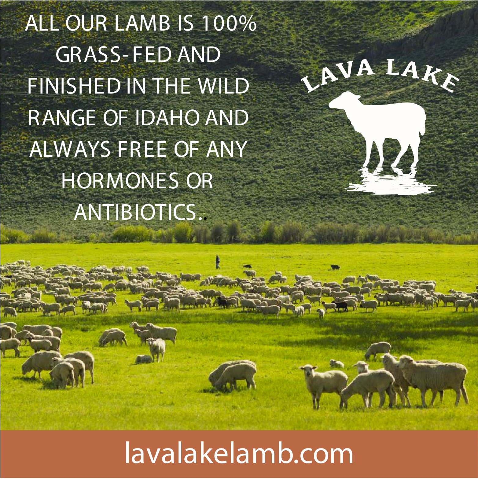 Po Box 2249, Hailey, Idaho - Grazing (2351x1663), Png Download