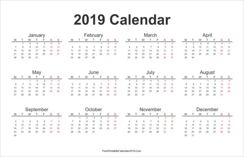 2019 Calendar Png Photos - 2019 Full Page Calendar (800x518), Png Download