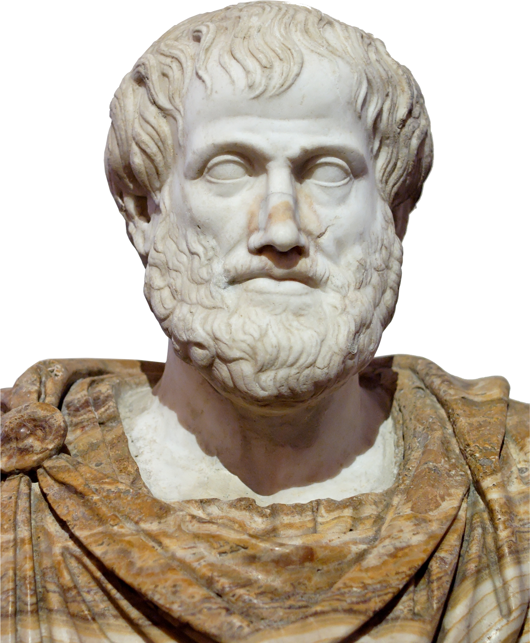 Aristotle Transparent - Aristoteles Busto (1700x2168), Png Download