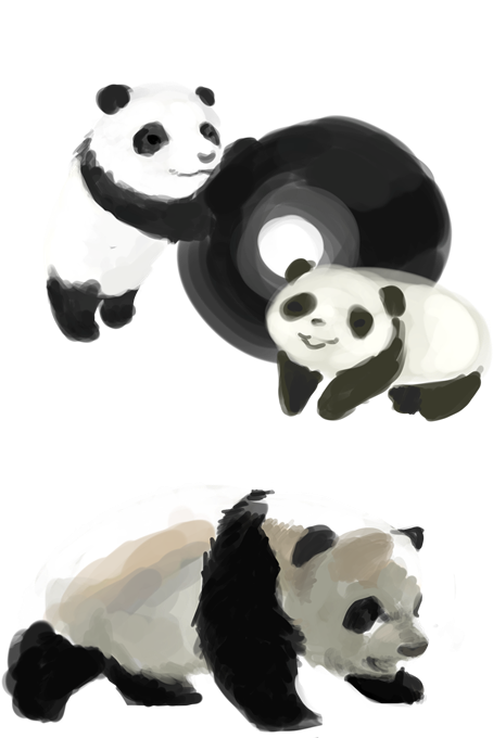View Samegoogleiqdbsaucenao Pandas , - Illustration (480x684), Png Download