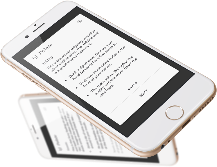 Info-iphone - Iphone (754x595), Png Download