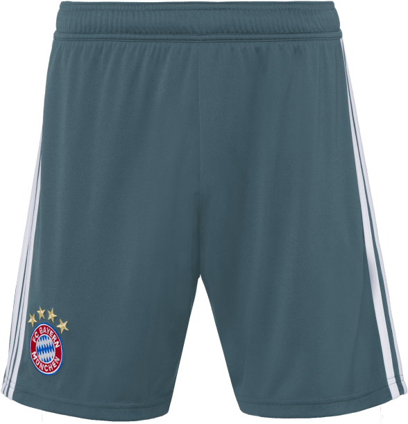 Download Board Short Full Size PNG Image PNGkit