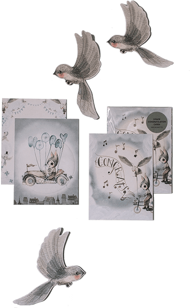 Mrs Mighetto 'land Of Birds' 2-pack Congratulations - Stock Dove (640x640), Png Download