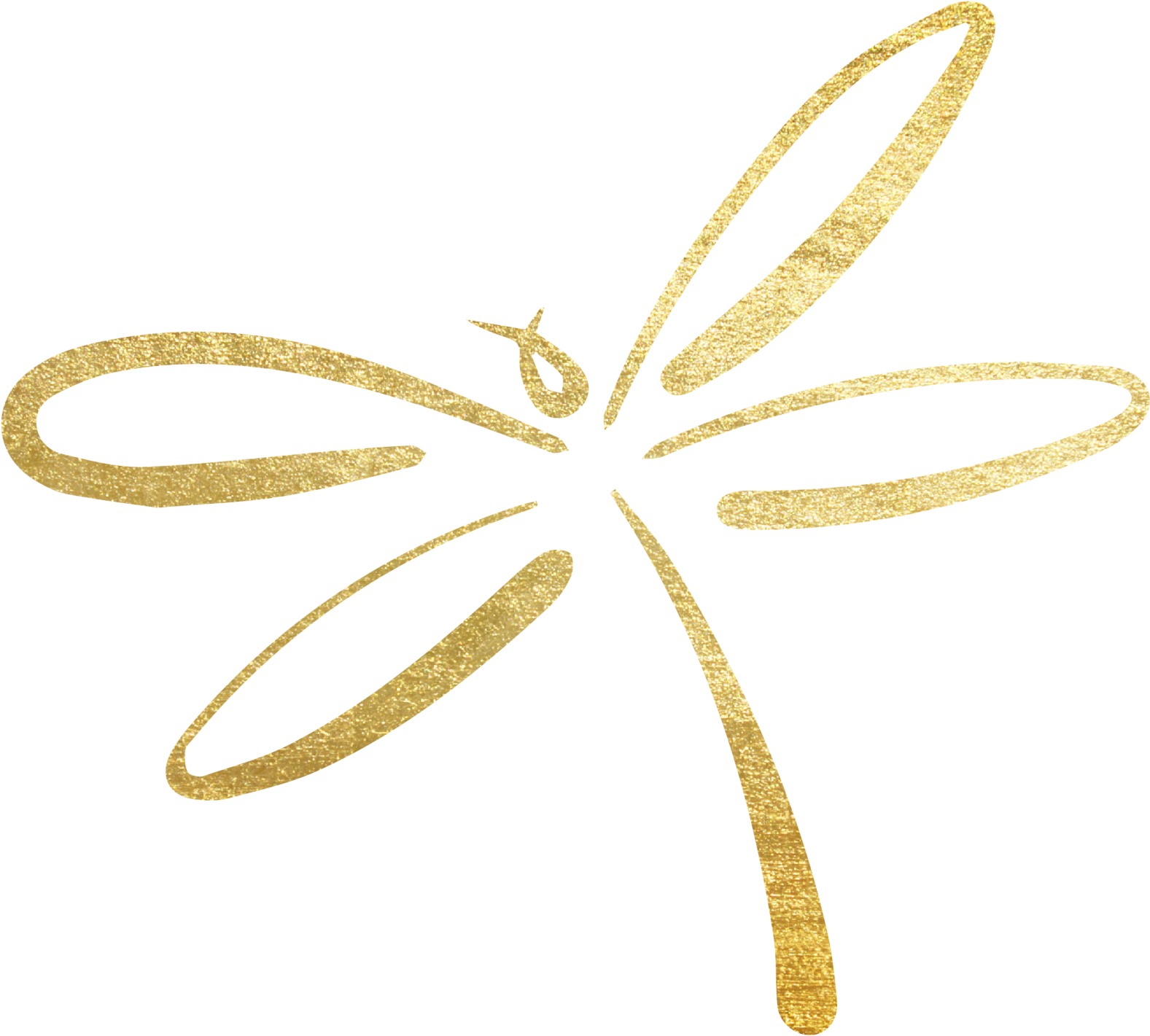 If You Aren't Living Your Best Life, You've Just Forgotten - Dragonfly (2048x1707), Png Download