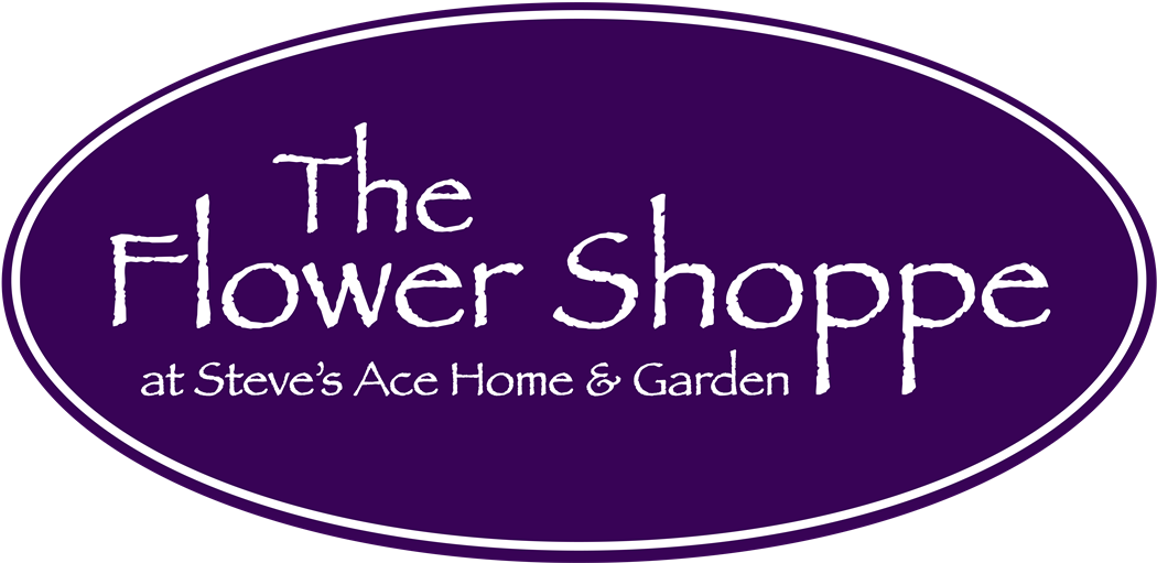 No Products In The Cart - Breast Cancer Support Haven (1116x514), Png Download