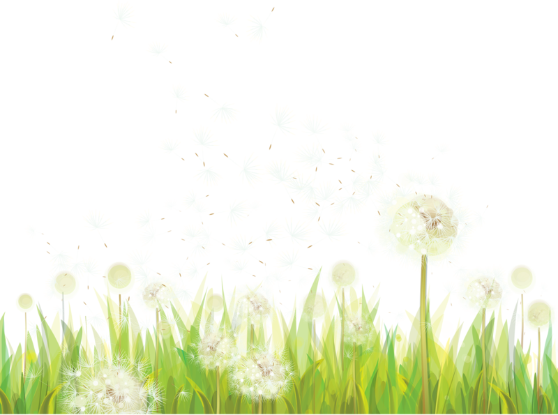 Pin By Cher Messercola On Cheryl's Clipart - Sweet Grass (800x595), Png Download