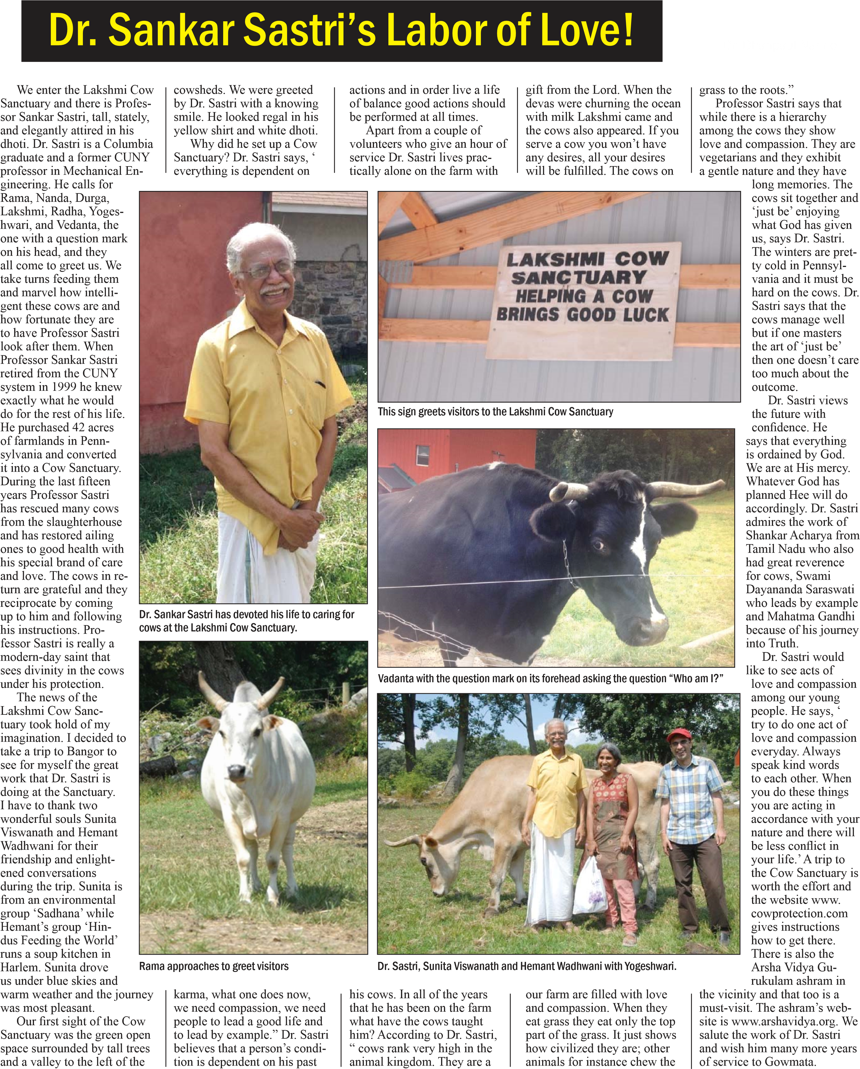 The Lakshmi Cow Sanctuary In Bangor, Pennsylvania - Dairy Cow (2987x3712), Png Download