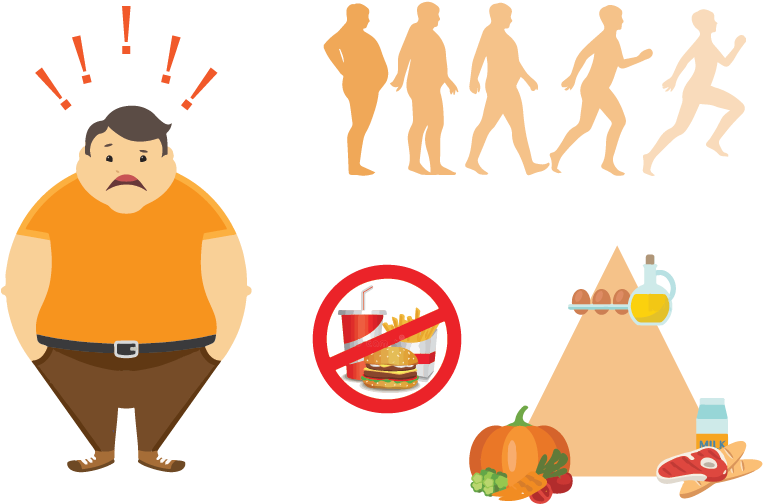 Fat To Fit Vector (842x595), Png Download