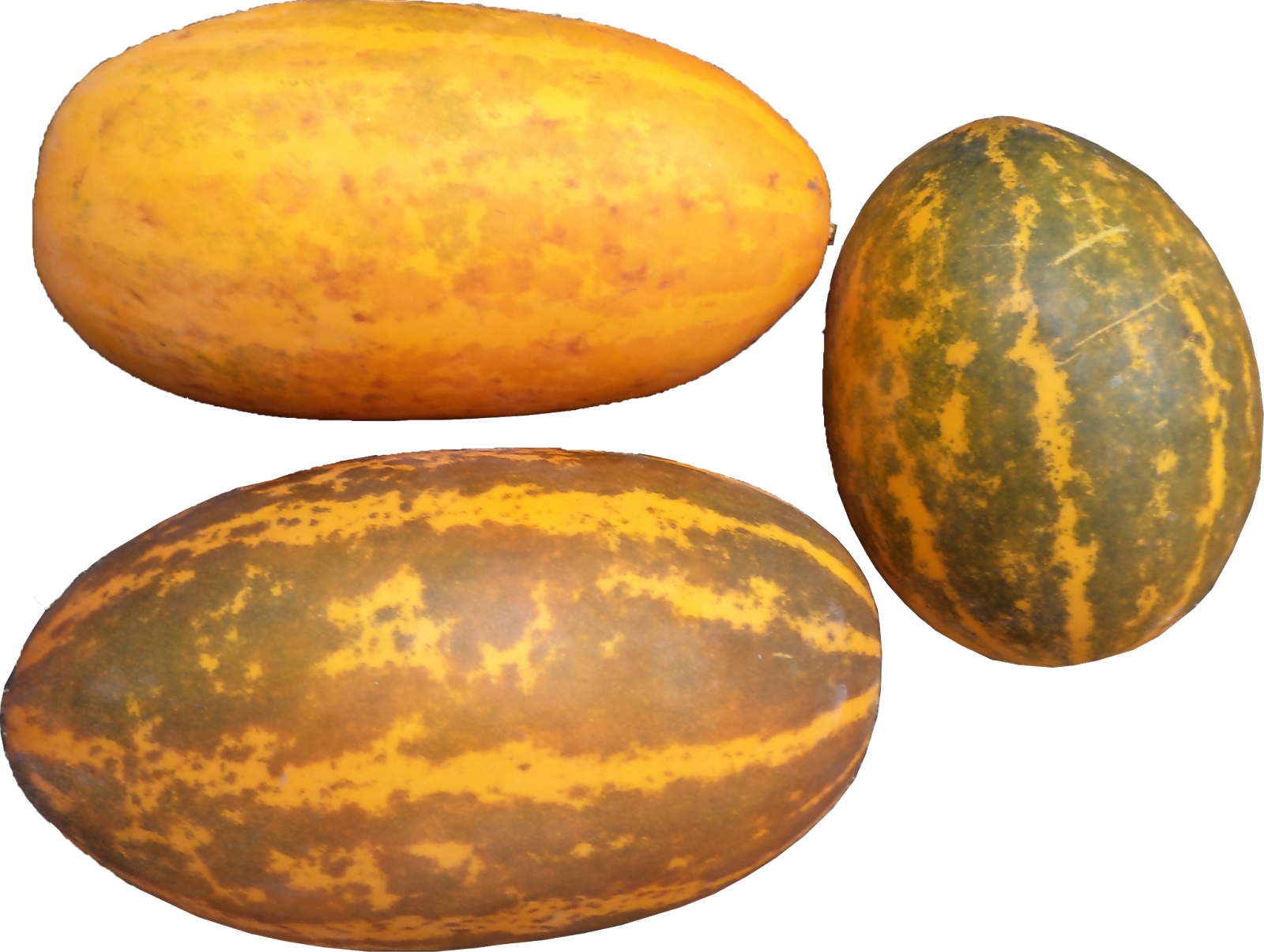 2) Jackfruit Seeds 30 Nos - Kerala Cucumber (1600x1205), Png Download