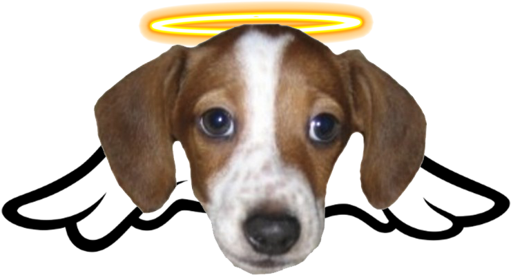 243 - Frankerz Emote (750x1000), Png Download