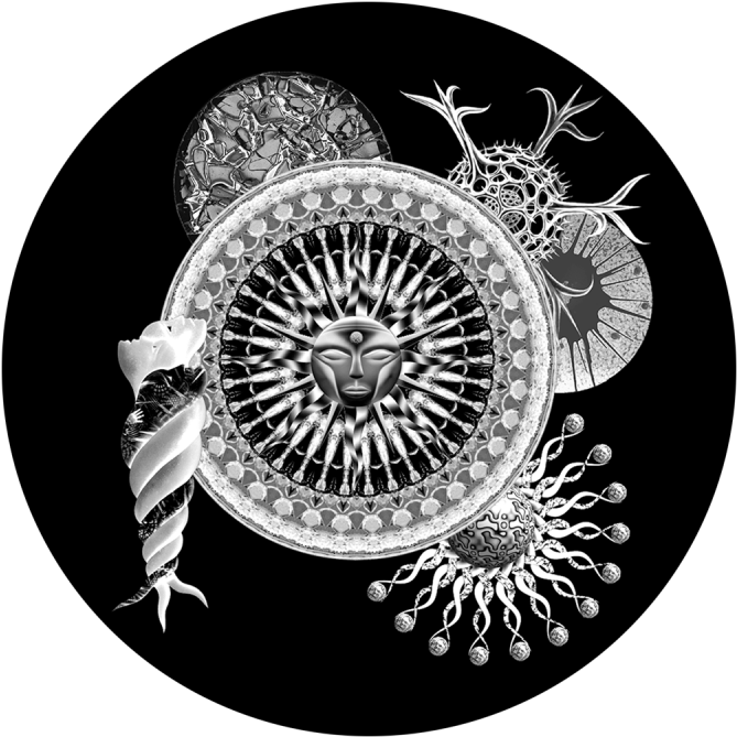 Tribal - Poltekes Kendari (800x800), Png Download