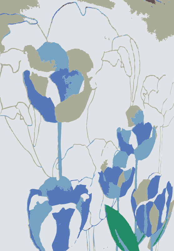 Tulip (556x800), Png Download