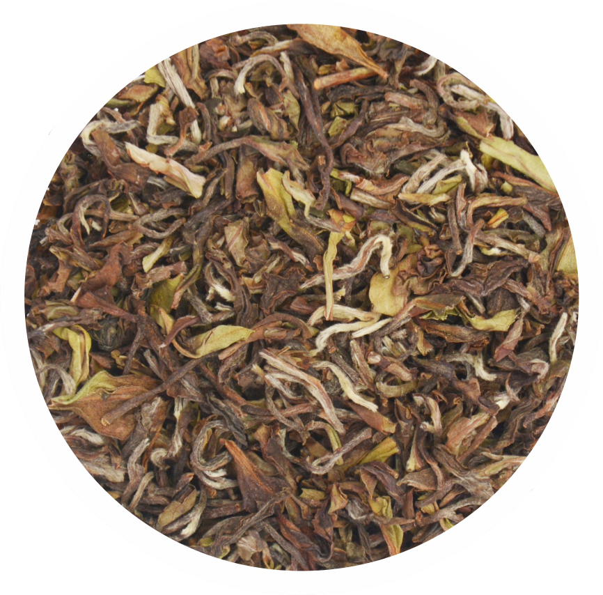 Avongrove Tea Estate Avongrove Tea Chaichun Tea - Biluochun (866x854), Png Download