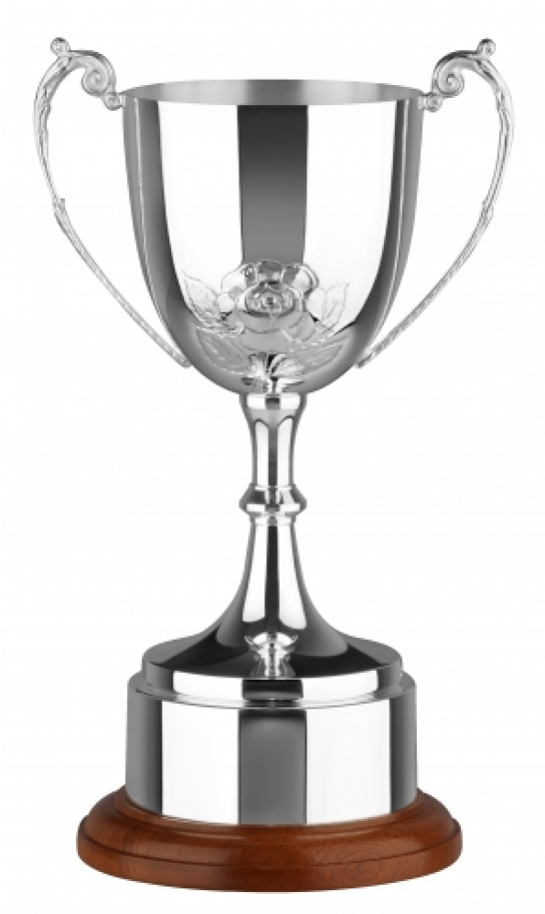 50-1000x1000 - Rugby Silver Trophy (1000x1000), Png Download
