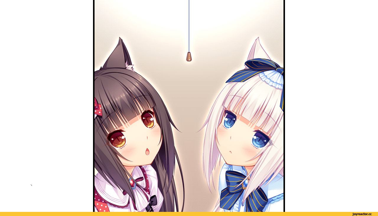 Nekopara (1280x734), Png Download
