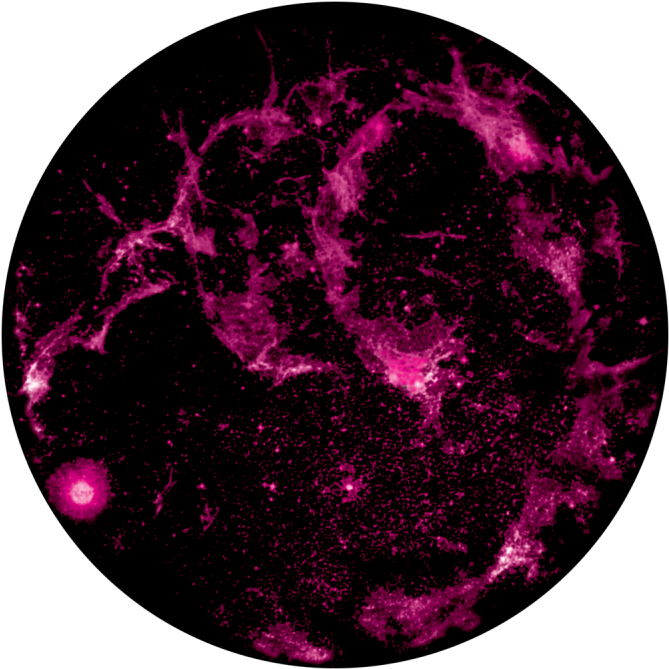Nebula - Circle (800x800), Png Download