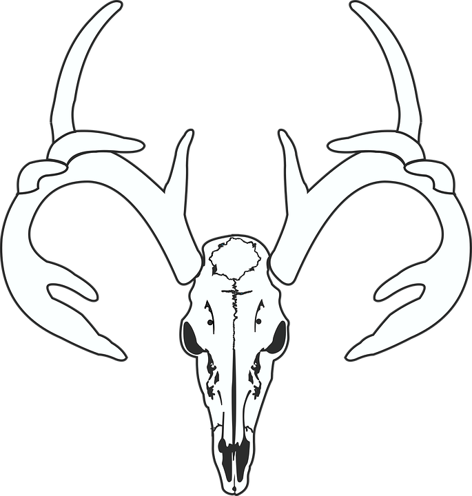 Deer Skull Png - Deer Skull White Logo (685x720), Png Download