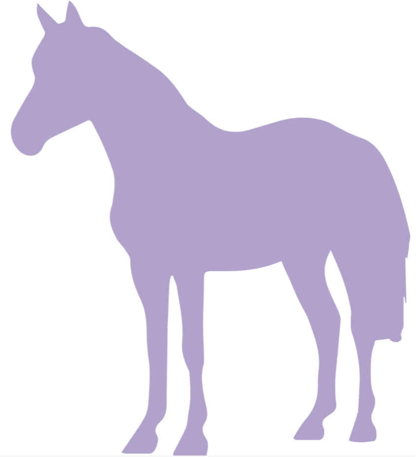 How Does Hippotherapy Help The Kiddos - Objetos Mirando A La Izquierda (844x926), Png Download