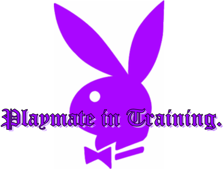 Playboy Bunny Playmate - Play Boy (800x619), Png Download