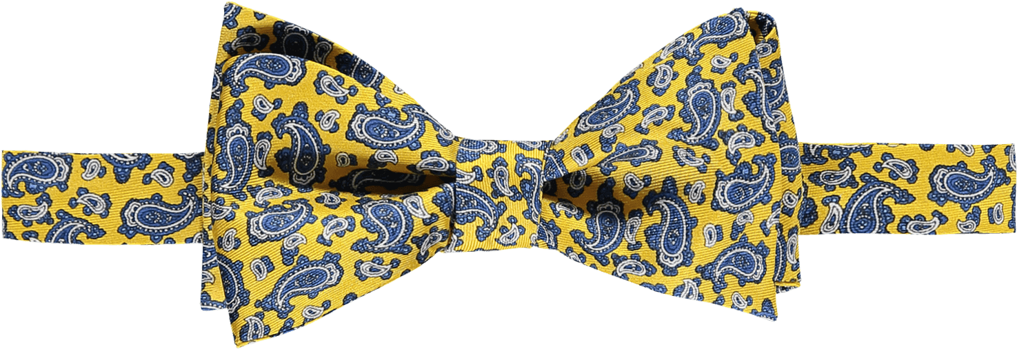 Silk Bow Tie - Paisley (1500x1500), Png Download