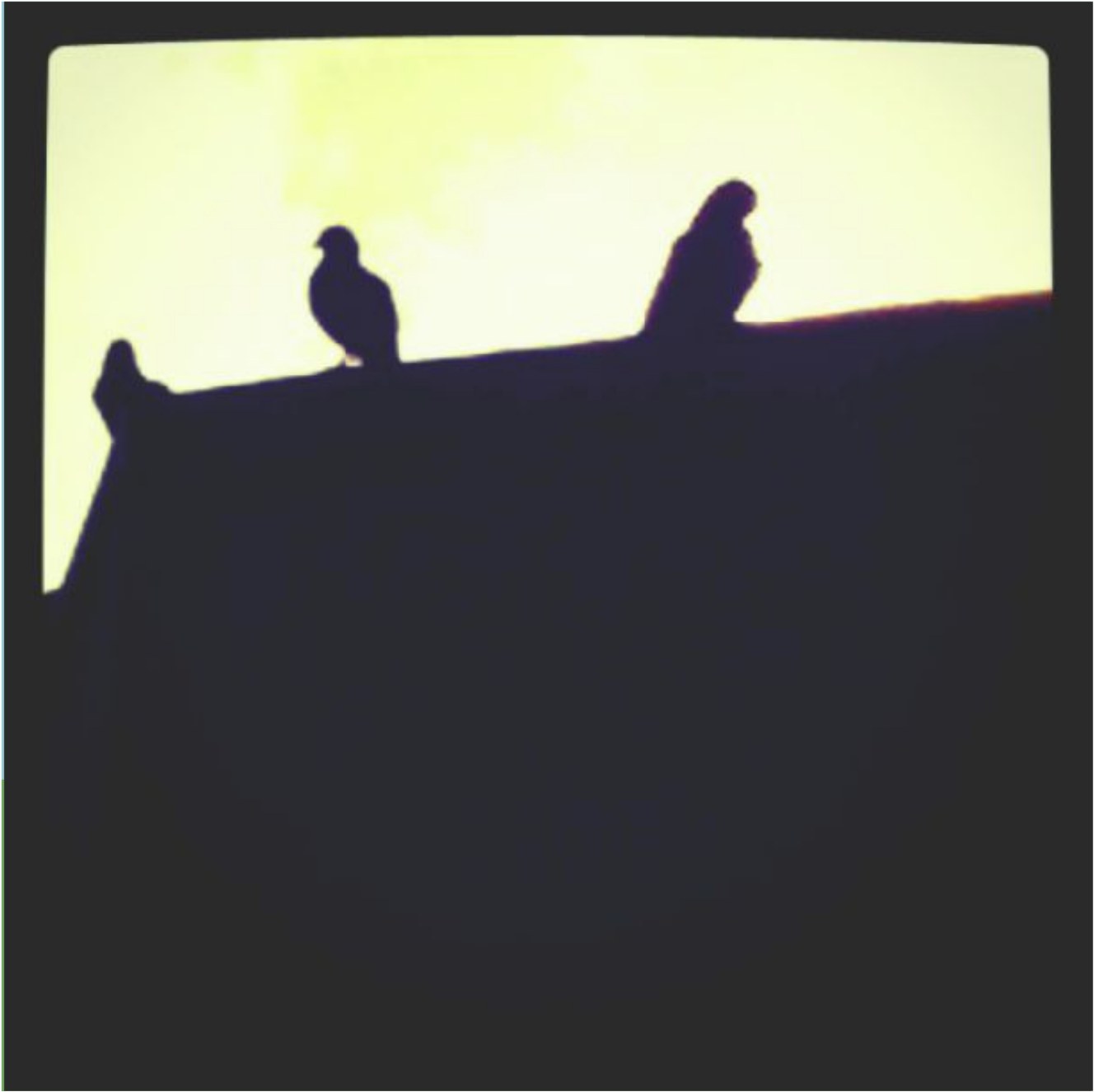 Ravens - Silhouette (1653x1653), Png Download