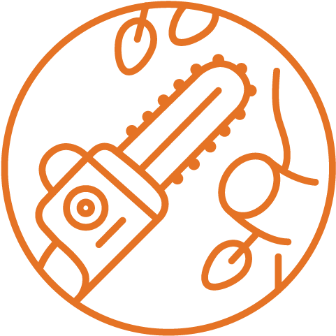 Tree Trimming Removal - Pan Am Logo Svg (617x614), Png Download