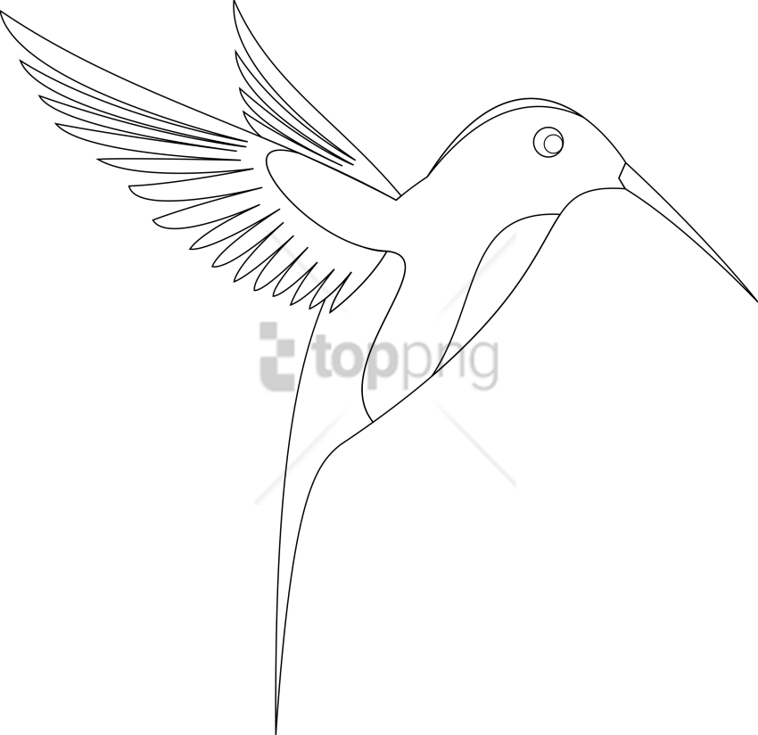 Free Png Download Line Art Of Birds Png Images Background - Hummingbird (850x824), Png Download