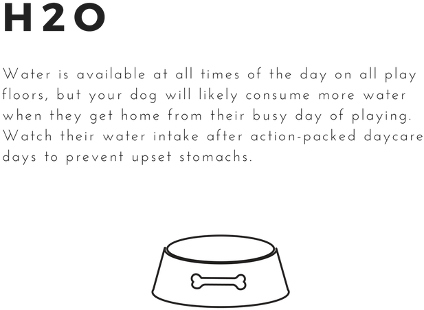 4 - Cake (800x800), Png Download
