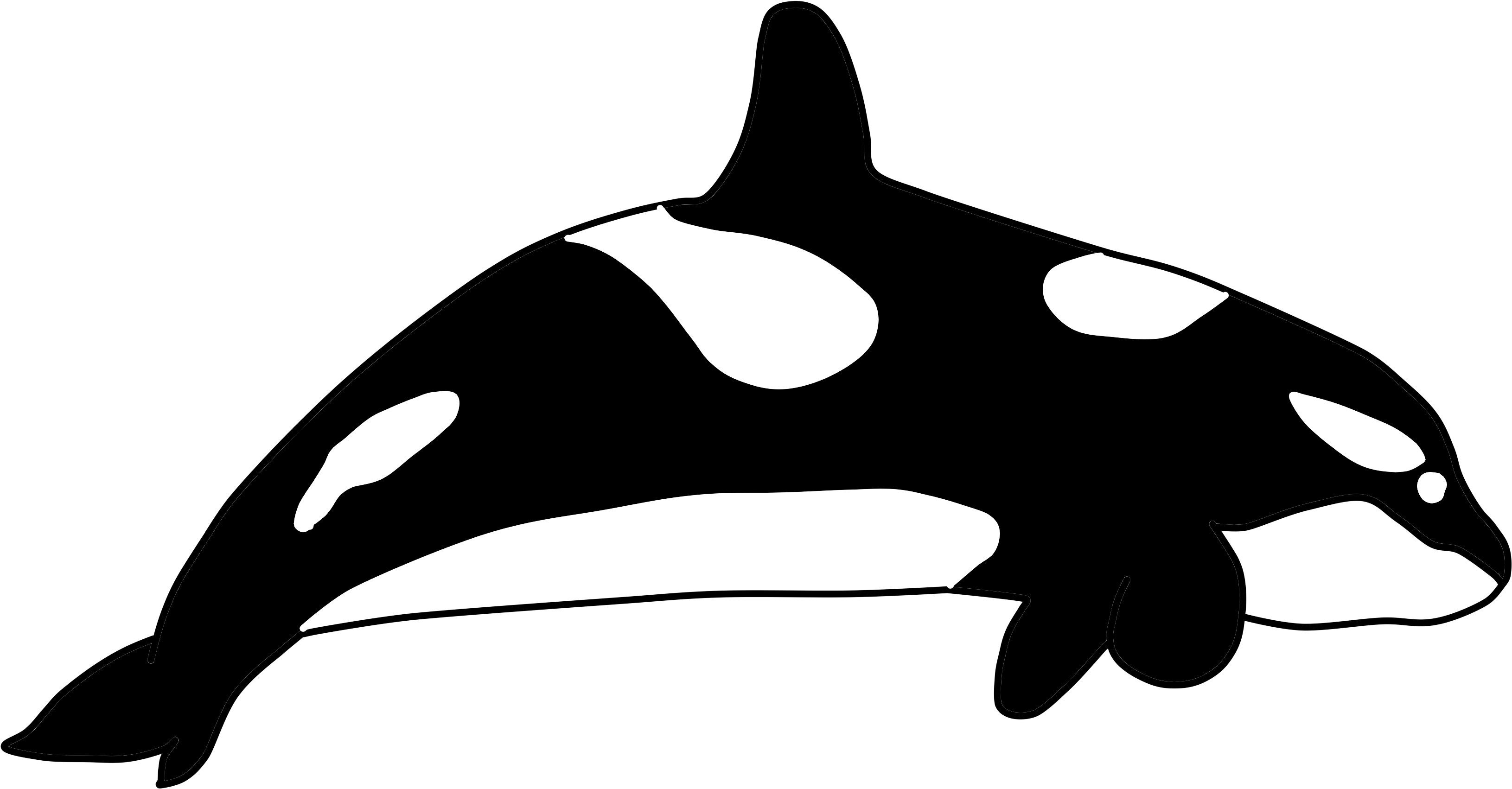 344 - Killer Whale (4208x3120), Png Download