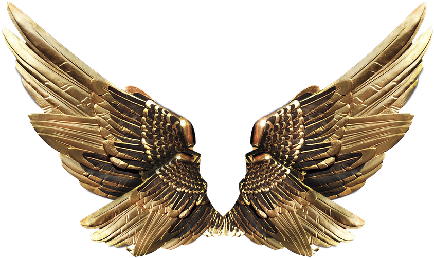 Wings, Gold, Fly - Gambar Sayap Emas Png (960x600), Png Download