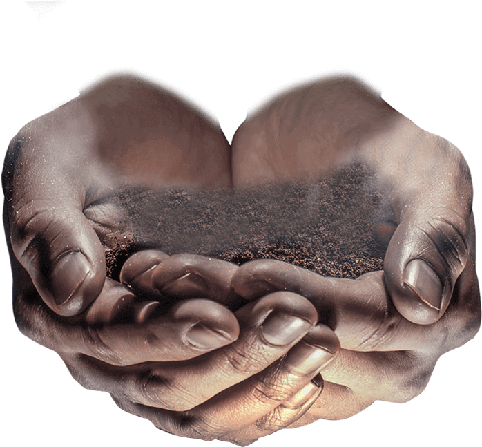 Stock Photography (698x647), Png Download