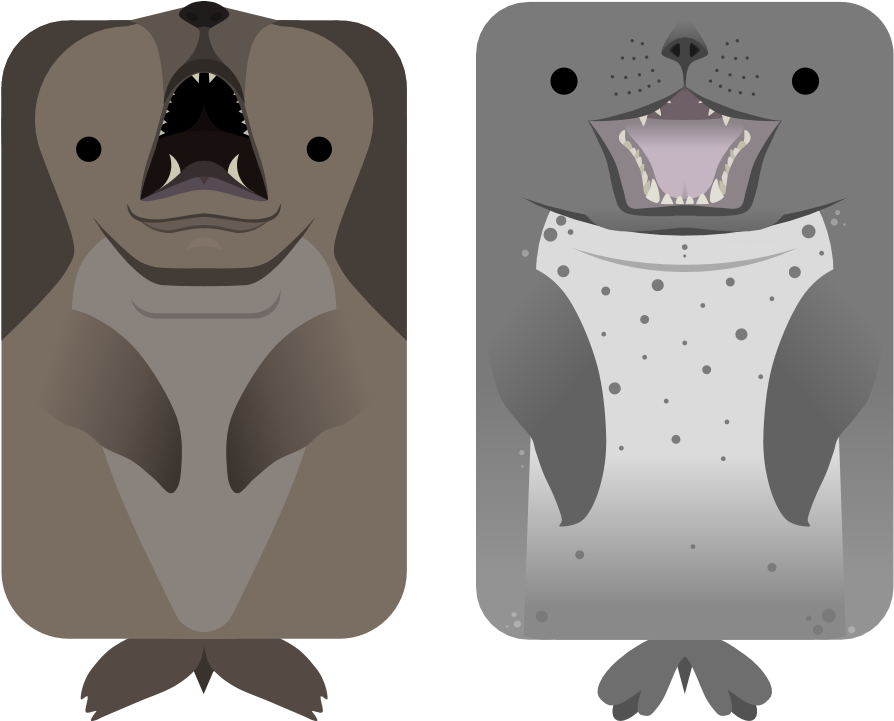 Animal[animal] Steller's Sea Lion - Deeeep Io Sea Lion (960x720), Png Download